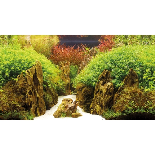 Baggrund til akvarium Canyon og Woodland (50 cm høj) 120 cm